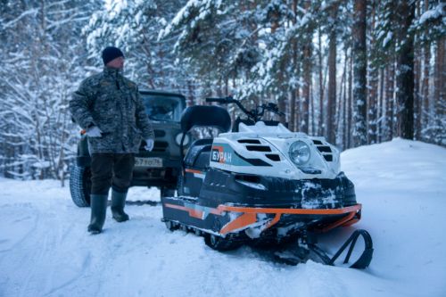 Штраф за незаконную рубку елей – до 500 тысяч рублей