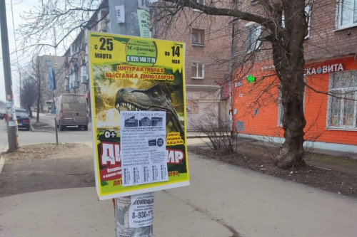 Кампания по борьбе с расклейкой объявлений в неположенных местах стартовала в регионе
