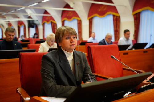 Депутаты поддержали снижение размера штрафных санкций за нарушение пользования платными парковками