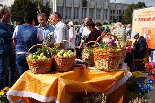 Региональные продовольственные ярмарки будут проходить в период с июня по сентябрь