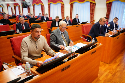 Депутаты будут держать на контроле изменения в сфере работы органов опеки и попечительства