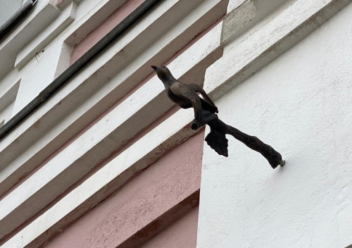 В Петербурге чижик, в Угличе соловей!