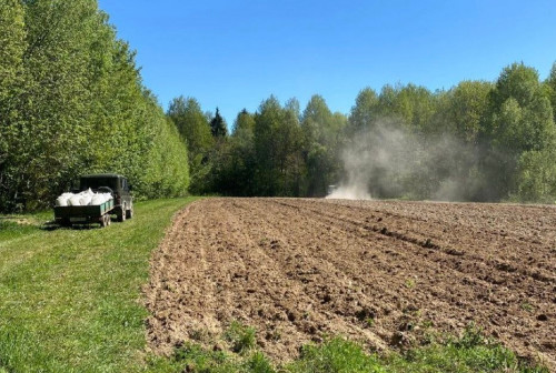 Кормовые поля для диких животных засеют в одиннадцати муниципальных образованиях