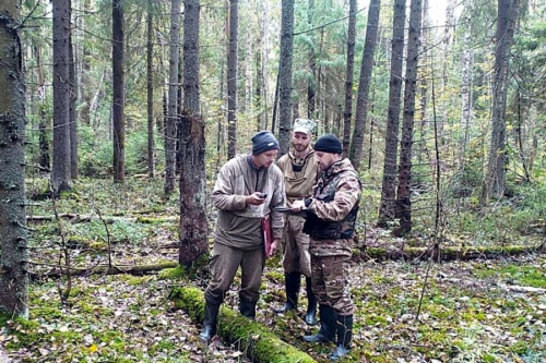 ​Лесопатологические обследования в регионе в этом году проведут на площади 3,5 тысячи гектаров