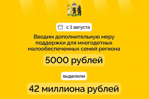 Выплаты на школьную форму для многодетных стартовали 1 августа в Ярославской области