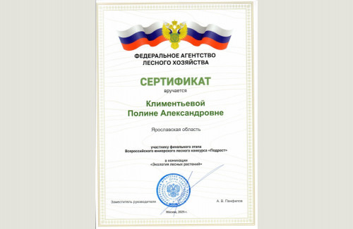 Сохраним наши леса для потомков!