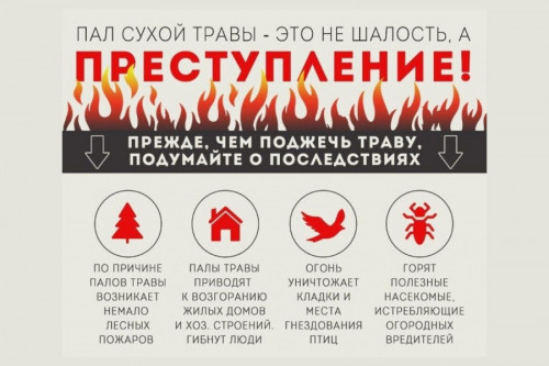 Штраф за нарушения противопожарных правил в лесах Ярославской области – до 400 тысяч рублей