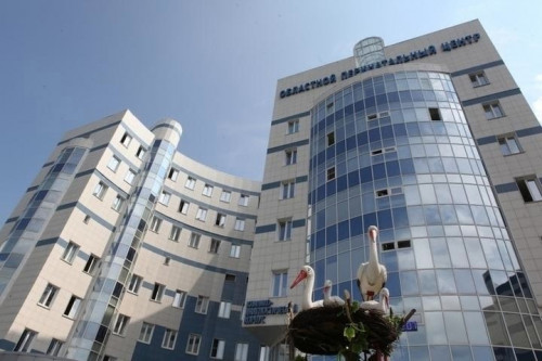 В Ярославской области создадут Центр материнства и детства в рамках федеральной программы