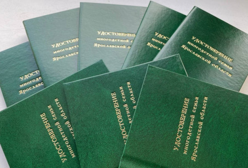 Число многодетных семей в Ярославской области за два года увеличилось на 11 процентов