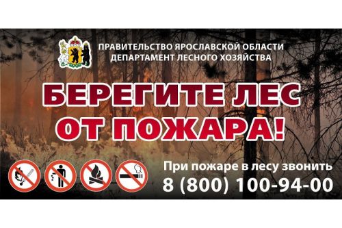 С 1 июля введен особый противопожарный режим