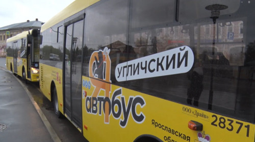 О новых автобусах в видеосюжете