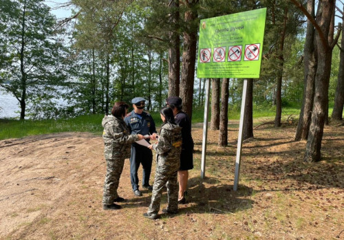 С начала действия особого противопожарного режима в лесах Ярославской области зафиксировано 30 нарушений