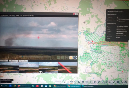 Сорок видеокамер установлены в лесах региона в этом году для мониторинга пожароопасной обстановки