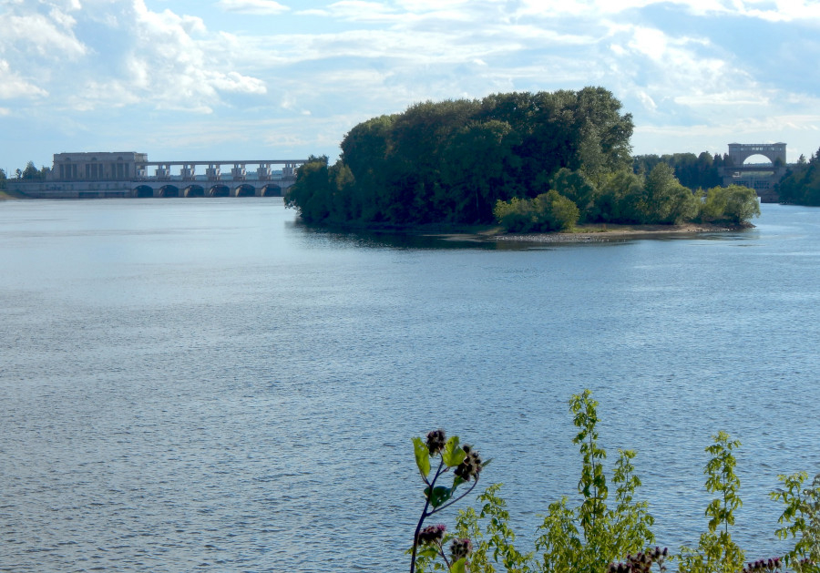Проект великая река. Река Великая Ярославль. Углич Золотая осень. Какая река в Великом Новгороде.